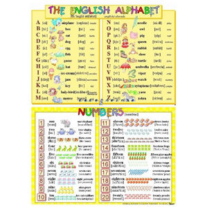 The English Alphabet/ Numbers