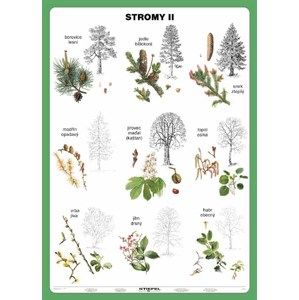 Stromy II - tabulka A5