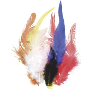 Dekorativní peříčka kohoutí 16 ks, mix barev