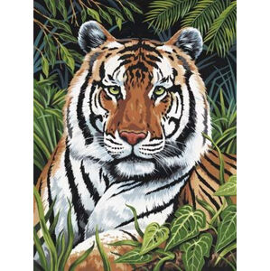 Malování podle čísel - Tygr v trávě