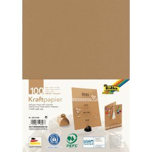 Folia Kraftový papír 120 g/m2 - 100 listů