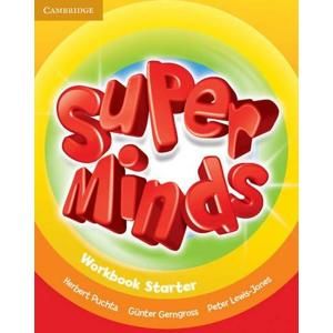 Super Minds Starter Workbook - Puchta, Herbert; Gerngross, Gunter; Lewis-Jones, Peter