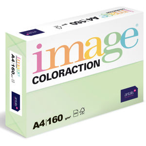 Coloraction A4 160 g 250 ks - Jungle/pastelově sv.zelená