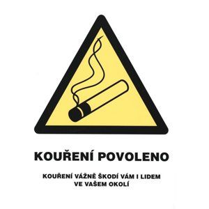 Kouření povoleno (označení restaurací) - 12x16 / samolepící folie