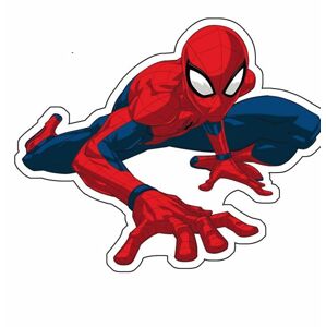 Jerry Fabrics tvarovaný polštářek Spider-man "02"