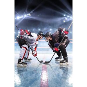Jerry Fabrics Fleecová deka Hokej
