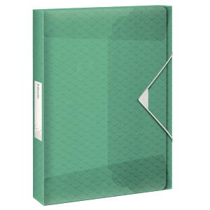 Box na spisy Esselte Colour'Ice A4 2,5 cm - ledově zelená