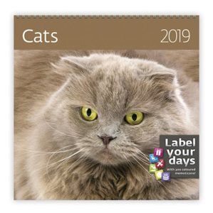 Kalendář nástěnný 2019 Label your days - Cats