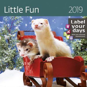 Kalendář nástěnný 2019 Label your days - Little Fun