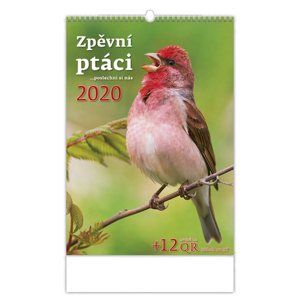 Kalendář nástěnný 2020 - Zpěvní ptáci