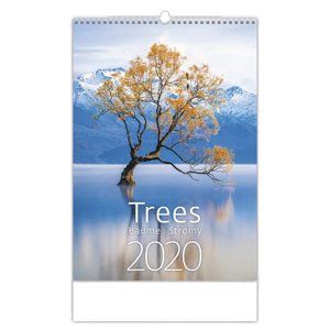 Kalendář nástěnný 2020 - Trees/Baume/Stromy