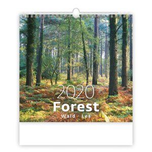 Kalendář nástěnný 2020 - Forest/Wald/Les