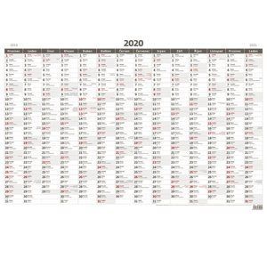 Kalendář nástěnný 2020 - Plánovací roční mapa A1 bezobrázková