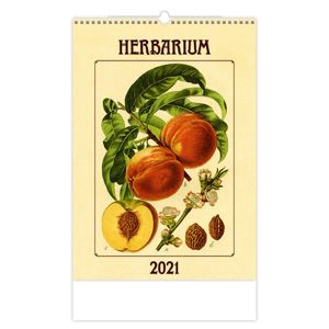 Kalendář nástěnný 2021 - Gerbarium