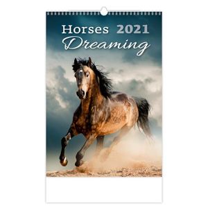 Kalendář nástěnný 2021 - Horses Dreaming