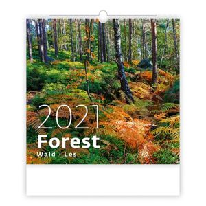 Kalendář nástěnný 2021 - Forest/Wald/Les