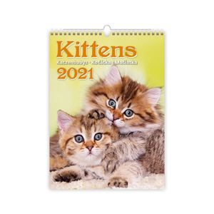 Kalendář nástěnný 2021 - Kittens/Katzenbabys/Koťátka/Mačičky