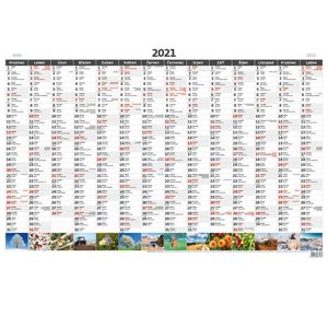 Kalendář nástěnný 2021 - Plánovací roční mapa A1 obrázková