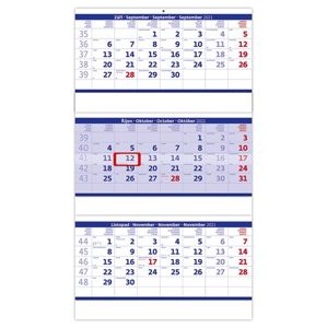 Kalendář nástěnný 2021 - Tříměsíční skládaný modrý