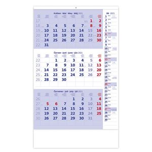 Kalendář nástěnný 2021 - Tířměsíční modrý s poznámkami