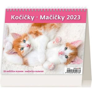 Kalendář stolní 2023 - MiniMax Kočičky/Mačičky