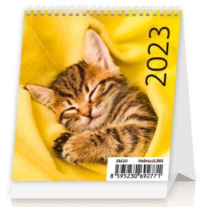 Kalendář stolní 2023 - Mini Kittens