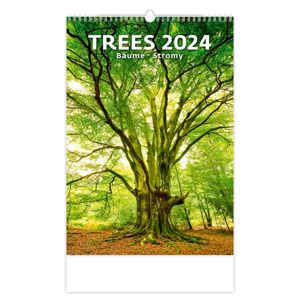 Kalendář nástěnný 2024 - Trees/Bäume/Stromy