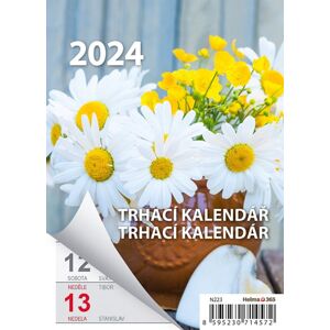 Kalendář nástěnný 2024 - Týdenní trhací A6