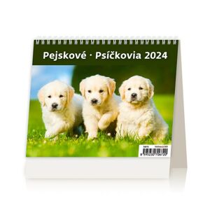 Kalendář stolní 2024 - MiniMax Pejskové/Psíčkovia