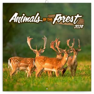 Kalendář nástěnný 2024 poznámkový 30 × 30 cm - Zvířátka z lesa