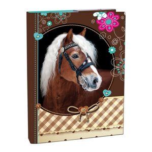 Box na sešity A4 s klopou Sweet Horse