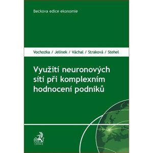 Využití neuronových sítí při komplexním hodnocení podniků - Vochozka, Jelínek, Váchal, Straková, Stehel