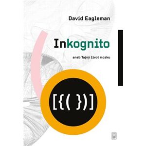 Inkognito (1) - Eagleman David