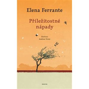 Příležitostné nápady - Ferrante Elena