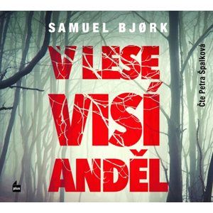 CD V lese visí anděl - Samuel Bjork