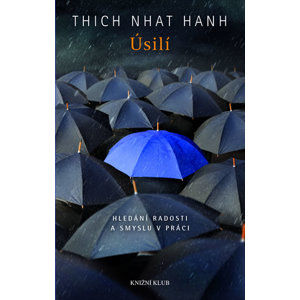 Úsilí - Hledání radosti a smyslu v práci - Nhat Hanh Thich