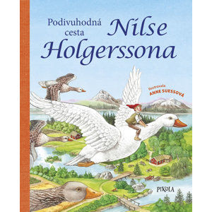 Podivuhodná cesta Nilse Holgerssona - Amelingová Anne