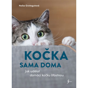 Kočka sama doma - Grotegutová Heike