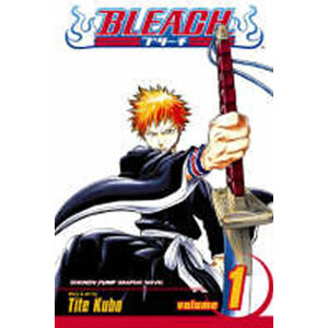 Bleach 1 (anglicky) - Kubo Tite