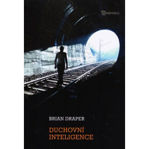 Duchovní inteligence - Draper Brian