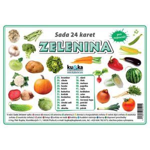 Sada 24 karet - zelenina - Kupka Petr