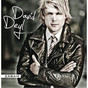Zásah - CD - Deyl David