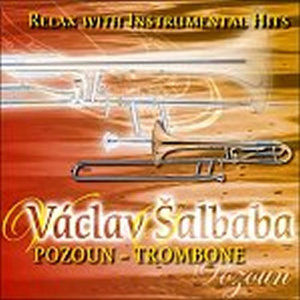 Relax with instrumental hits - Pozoun - CD - Šalbaba Václav