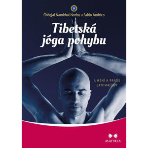 Tibetská jóga pohybu - Umění a praxe jantrajógy - Norbu Čhögjal Namkhai, Andrico Fabio,