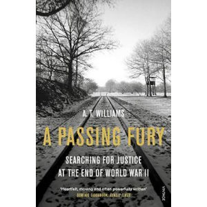 A Passing Fury - Williams A. T.