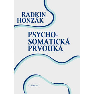 Psychosomatická prvouka - Honzák Radkin