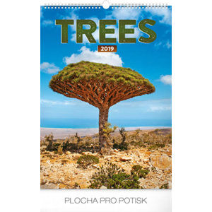 Kalendář nástěnný 2019 - Stromy, 33 x 46 cm - neuveden