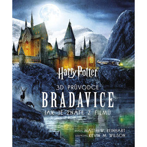 Harry Potter - 3D průvodce po Bradavice, jak je znáte z filmů - Reinhart Matthew