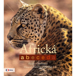 Africká abeceda - Chaloupek Václav