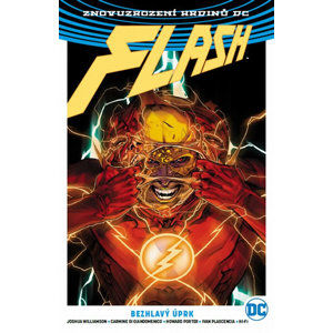 Flash 4 - Zběsilý útěk - Williamson Joshua